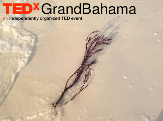 landingpageplaceholder